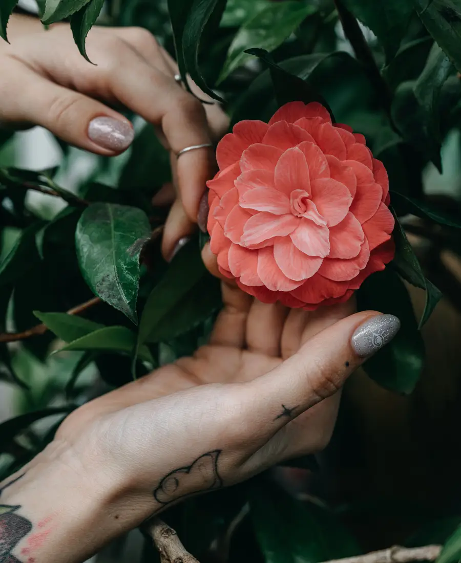 A decorative picture of stylish nails and a flower